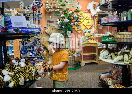 Virginia Roanoke Mill Mountain Zoo gift shop,girl shopping looks looking souvenir souvenirs, Stock Photo