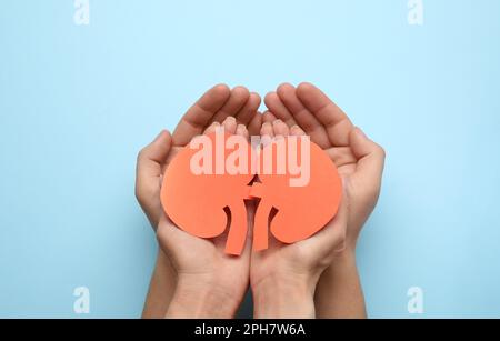 People holding paper cutout of kidneys on light blue background, top view Stock Photo