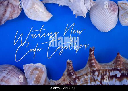 Animal Shell, Summer vacation, marine background with Writing New Code Together text. Stock Photo