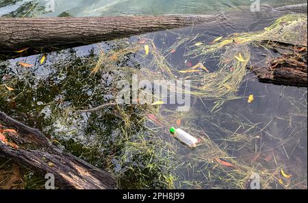 Plastic bottle floating on a lake. Plastic pollution concept. Top view. Stock Photo