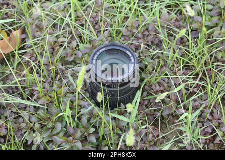 Wide-angle lens high-class photographed on a leaf background Stock Photo