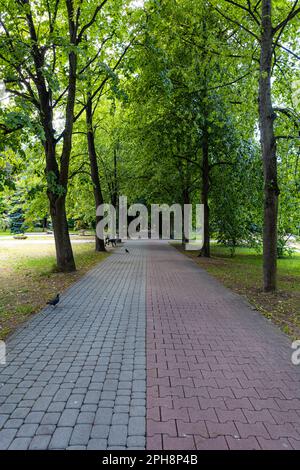 A long straight path made of cobblestones among symmetrically planted trees in a small park Stock Photo