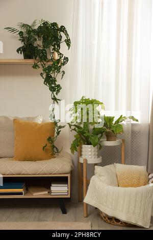 https://l450v.alamy.com/450v/2ph8rcy/stylish-room-interior-with-beautiful-houseplants-and-comfortable-bench-2ph8rcy.jpg