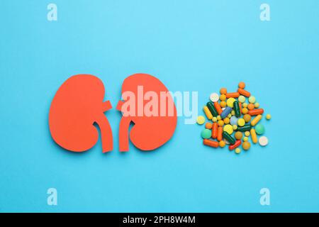 Paper cutout of kidneys and pills on light blue background, flat lay Stock Photo