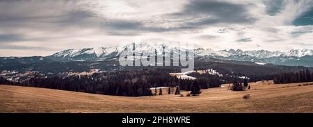 View of the panorama of the Tatra Mountains from the Łapszanka pass. Early spring. Snow-covered peaks of the Tatras, melting snow in the mountain past Stock Photo