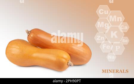 two pumpkins isolated on a colored gradient background with markings of minerals found in pumpkins Stock Photo