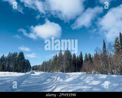Snowy road through a winter forest under a bright blue sky with clouds Stock Photo