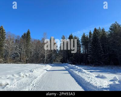 Snowy forest road under a clear blue sky in northern Sweden Stock Photo