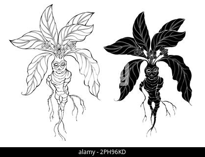 Mandragora Stock Vector Images - Alamy