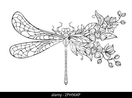 Contour, stylized, artistic dragonfly, decorated with exotic orchids on white background. Coloring dragonfly. Stock Vector
