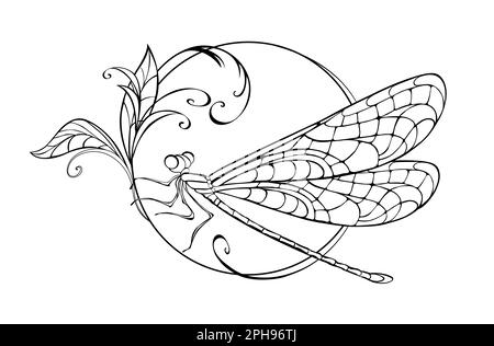 Sitting in circle, artistically drawn, contoured dragonfly with patterned, detailed wings on white background. The original drawing of dragonfly. Stock Vector