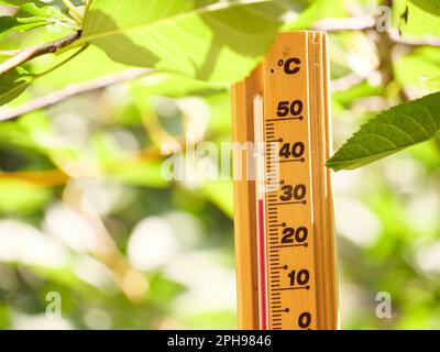 Thermometer making 30 degrees celsius temperature, hot summer weather. Red heat warning, Heatwave cause climate change, global warming. Nature green f Stock Photo
