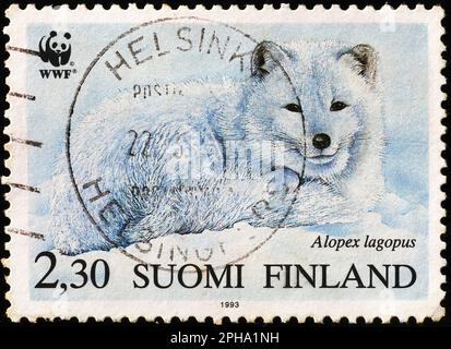 Arctic fox on finnish postage stamp Stock Photo