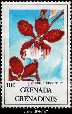 Beautiful red orchids on postage stamp from Grenada Stock Photo