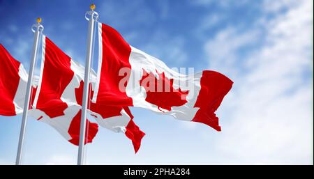 Three Canada national flags waving in the wind on a clear day. White square in center and red stylized maple leaf with eleven points. Selective focus. Stock Photo