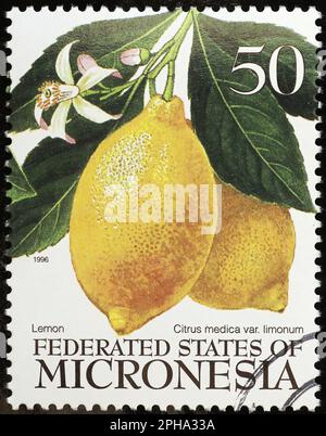 Close up of lemons on postage stamp of Micronesia Stock Photo