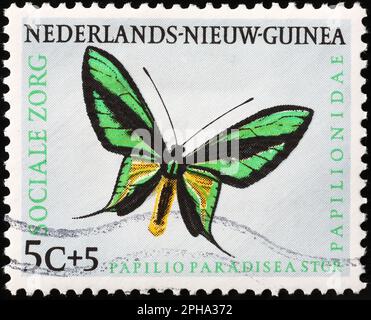 Colorful butterfly on postage stamp from Papua New Guinea Stock Photo