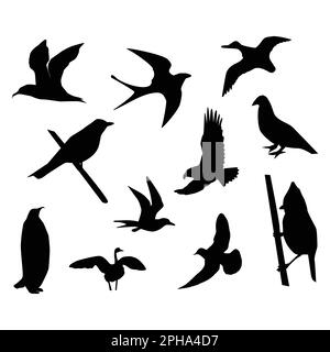 Set of seagull silhouettes on white background. Vector illustration. Stock Vector