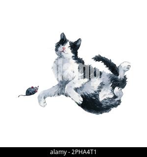 Bicolor black and white cat playing with toy mouse. Watercolor painting clipping path isolated on white background. Graphic for fabric, T-shirt, postc Stock Photo