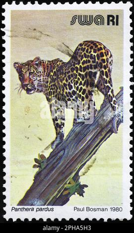 Leopard on postage stamp from South Africa Stock Photo