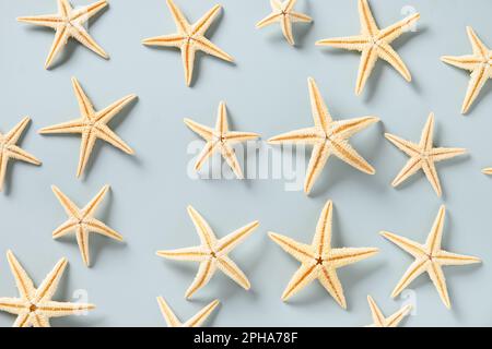 Pattern with starfishes and seashells on blue background. Top view. Concept summer beach vacation. Stock Photo