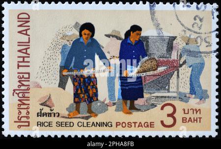 Women cleaning rice seeds on thai postage stam Stock Photo