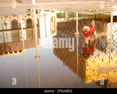 Visiting Birmingham UK, Stock Photo