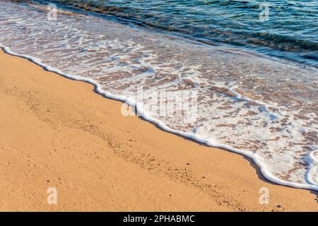 Close-up view on sandy beach with sea foam. Stock Photo