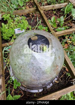 Early spring garden works, Bron, France Stock Photo - Alamy