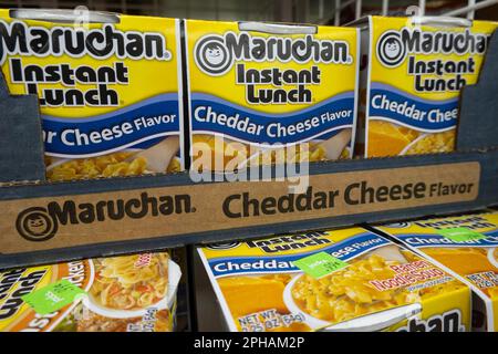 Instant lunch cheddar cheese - Maruchan