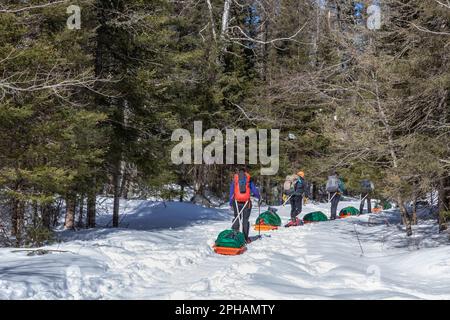 Northern Michigan University class going winter camping in the McCormick Wilderness, Upper Peninsula, Michigan, USA [No model release; editorial licen Stock Photo