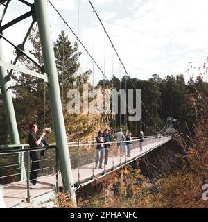 Many tourists walk along the suspension bridge across the Katun river to the island in the mountains in a spruce forest to watch the sights in Altai Stock Photo