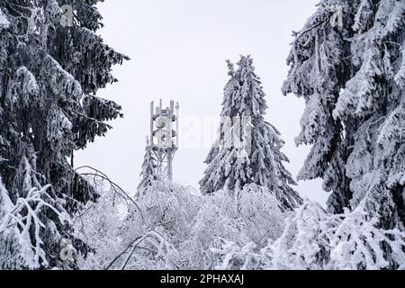A scenic winter landscape featuring a rolling field of snow-covered trees and a tall tower in the background Stock Photo