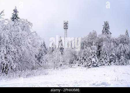 A picturesque winter scene featuring trees, telephone poles, and power lines against a white, snow-covered background Stock Photo