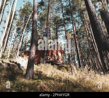Wooden holiday home in a pine forest with a veranda with curtains with an elderly woman Stock Photo