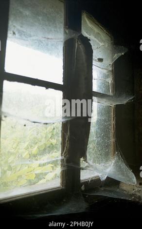 Old spiderwebs by a window in an abandoned house Stock Photo