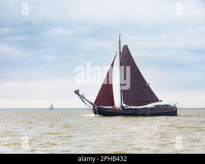 Traditional sail barge, tjalk, sailing with brown sails on IJsselmeer lake, Netherlands Stock Photo