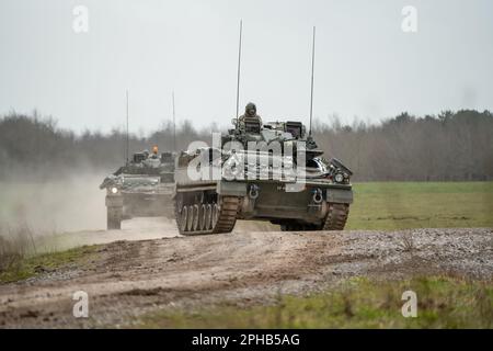 two British army FV510 Warrior Fighting Vehicles manoeuvre on a military exercise, Wiltshire UK Stock Photo