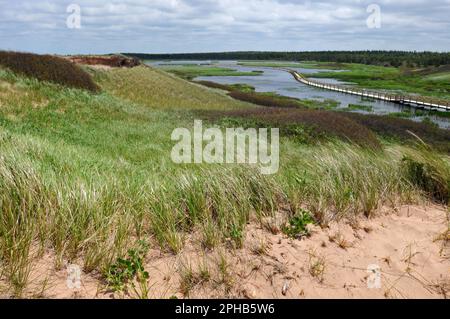 Grass-covered sand dunes overlook a floating boardwalk crossing Bowley Pond at the Greenwich portion of Prince Edward Island National Park in Canada. Stock Photo