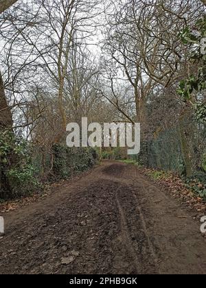 A footpath in Forty Hill. Enfield, London, UK. Trees, Soil, Leaves and sky. Nature view. Stock Photo