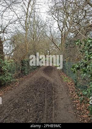 A footpath in Forty Hill. Enfield, London, UK. Trees, Soil, Leaves and sky. Nature view. Stock Photo