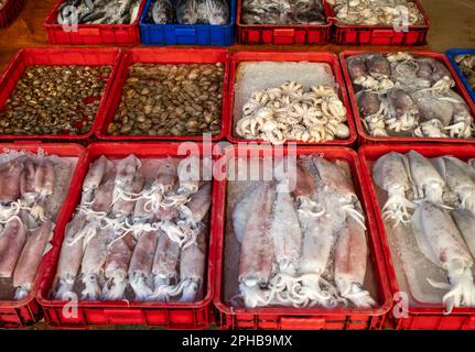 Squid , clams, octopus and  other seafood on sale at the central market in Pleiku in the Central Highlands in Vietnam. Stock Photo
