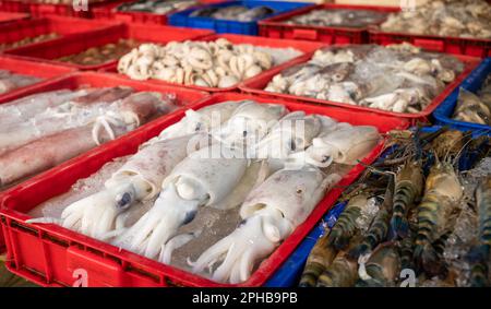 Squid and giant prawns on sale at the central market in Pleiku in the Central Highlands in Vietnam. Stock Photo