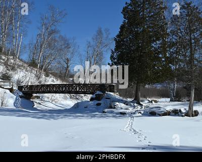 Footsteps in the snow lead to a pedestrian bridge over a frozen stream framed by birch and cedar trees Stock Photo