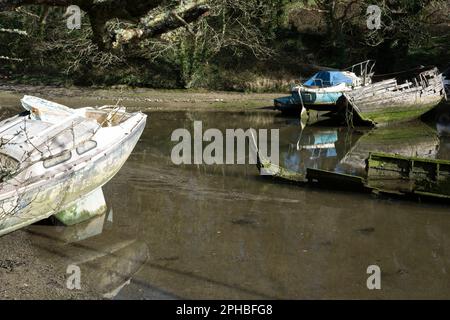 Old boats lie rotting in the mud at low-tide on the Helford River in Cornwall, on 18th March 2023, in Helford Pasage, England. Stock Photo