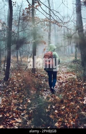 Woman with backpack wandering in a forest on autumn cold day. Back view of middle age active woman going along forest path actively spending time Stock Photo