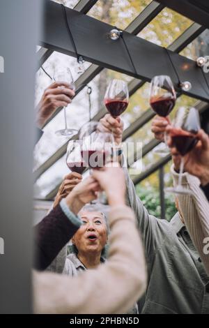 Senior male and female friends toasting wineglasses at dinner party Stock Photo