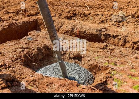 As workers pour concrete for foundation of building using an automatic pump is being directed Stock Photo