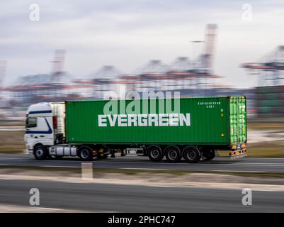 Container truck, bringing containers to Euromax Container Terminal, the seaport of Rotterdam, the Netherlands, deep sea port Maasvlakte 2, on a man-ma Stock Photo