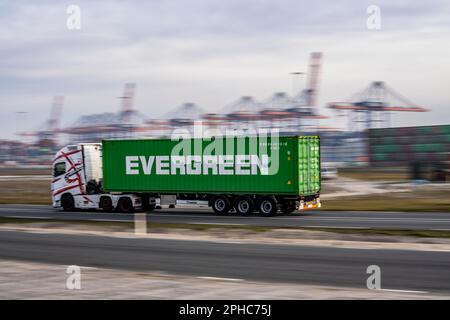 Container truck, bringing containers to Euromax Container Terminal, the seaport of Rotterdam, the Netherlands, deep sea port Maasvlakte 2, on a man-ma Stock Photo